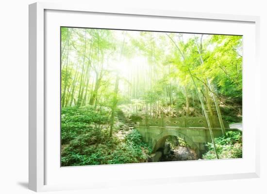 Old Stone Bridge and Lush Foliage in the Yun Qi Bamboo Forest, Zhejiang, China-Andreas Brandl-Framed Photographic Print