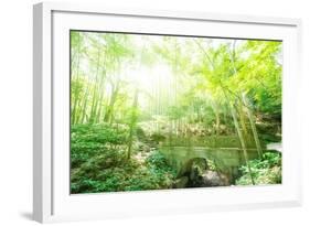 Old Stone Bridge and Lush Foliage in the Yun Qi Bamboo Forest, Zhejiang, China-Andreas Brandl-Framed Photographic Print