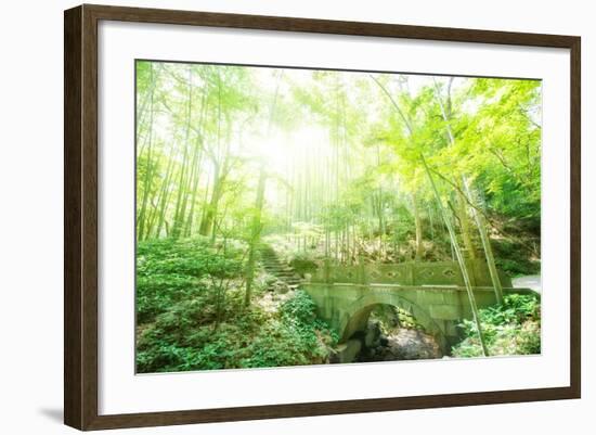 Old Stone Bridge and Lush Foliage in the Yun Qi Bamboo Forest, Zhejiang, China-Andreas Brandl-Framed Photographic Print