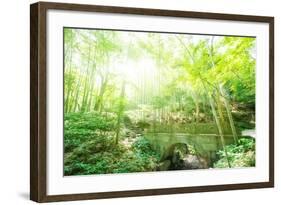 Old Stone Bridge and Lush Foliage in the Yun Qi Bamboo Forest, Zhejiang, China-Andreas Brandl-Framed Photographic Print