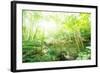 Old Stone Bridge and Lush Foliage in the Yun Qi Bamboo Forest, Zhejiang, China-Andreas Brandl-Framed Photographic Print