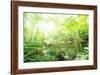 Old Stone Bridge and Lush Foliage in the Yun Qi Bamboo Forest, Zhejiang, China-Andreas Brandl-Framed Photographic Print