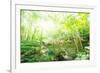 Old Stone Bridge and Lush Foliage in the Yun Qi Bamboo Forest, Zhejiang, China-Andreas Brandl-Framed Photographic Print