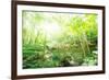 Old Stone Bridge and Lush Foliage in the Yun Qi Bamboo Forest, Zhejiang, China-Andreas Brandl-Framed Photographic Print