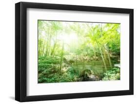 Old Stone Bridge and Lush Foliage in the Yun Qi Bamboo Forest, Zhejiang, China-Andreas Brandl-Framed Photographic Print