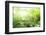 Old Stone Bridge and Lush Foliage in the Yun Qi Bamboo Forest, Zhejiang, China-Andreas Brandl-Framed Photographic Print