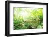 Old Stone Bridge and Lush Foliage in the Yun Qi Bamboo Forest, Zhejiang, China-Andreas Brandl-Framed Photographic Print