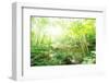 Old Stone Bridge and Lush Foliage in the Yun Qi Bamboo Forest, Zhejiang, China-Andreas Brandl-Framed Photographic Print