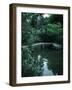 Old Stone Bridge in Garden-Ted Thai-Framed Photographic Print