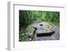 Old Stone Money on Carp Island, Rock Islands, Palau, Central Pacific, Pacific-Michael Runkel-Framed Photographic Print