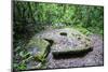 Old Stone Money on Carp Island, Rock Islands, Palau, Central Pacific, Pacific-Michael Runkel-Mounted Photographic Print