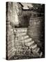 Old Stone Steps-Tim Kahane-Stretched Canvas