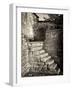 Old Stone Steps-Tim Kahane-Framed Photographic Print