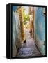 Old Stone Street with Black Cat, Safed, Tsefat, Israel-William Perry-Framed Stretched Canvas