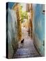 Old Stone Street with Black Cat, Safed, Tsefat, Israel-William Perry-Stretched Canvas