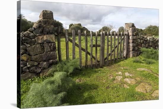 Old Stone Wall and Wooden Fence Keep in Sheep Living at Parco Archeologico Di Iloi, Italy, Oristano-Alida Latham-Stretched Canvas