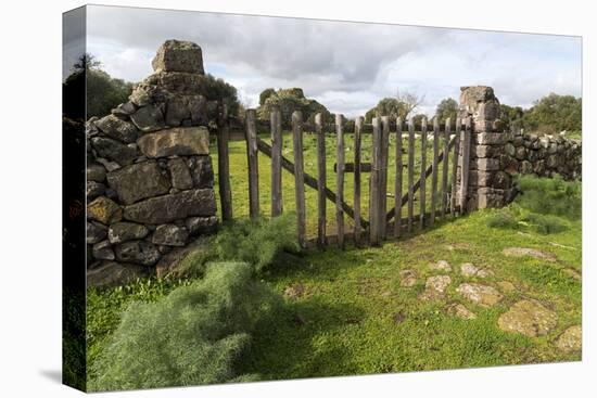 Old Stone Wall and Wooden Fence Keep in Sheep Living at Parco Archeologico Di Iloi, Italy, Oristano-Alida Latham-Stretched Canvas