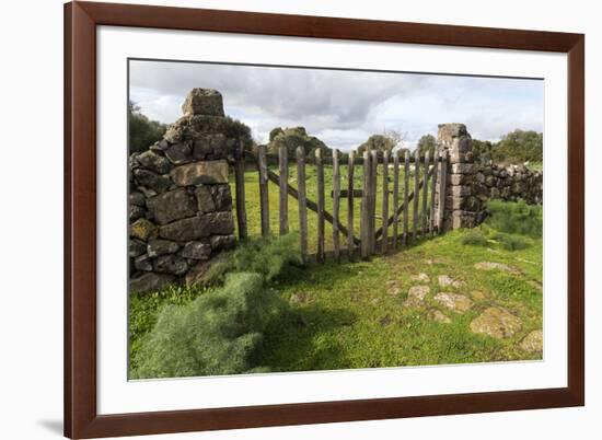 Old Stone Wall and Wooden Fence Keep in Sheep Living at Parco Archeologico Di Iloi, Italy, Oristano-Alida Latham-Framed Photographic Print