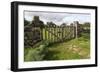 Old Stone Wall and Wooden Fence Keep in Sheep Living at Parco Archeologico Di Iloi, Italy, Oristano-Alida Latham-Framed Photographic Print