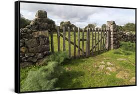 Old Stone Wall and Wooden Fence Keep in Sheep Living at Parco Archeologico Di Iloi, Italy, Oristano-Alida Latham-Framed Stretched Canvas