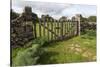 Old Stone Wall and Wooden Fence Keep in Sheep Living at Parco Archeologico Di Iloi, Italy, Oristano-Alida Latham-Stretched Canvas