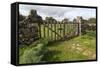 Old Stone Wall and Wooden Fence Keep in Sheep Living at Parco Archeologico Di Iloi, Italy, Oristano-Alida Latham-Framed Stretched Canvas