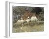 Old Surrey Cottage-Helen Allingham-Framed Giclee Print