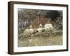 Old Surrey Cottage-Helen Allingham-Framed Giclee Print