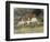 Old Surrey Cottage-Helen Allingham-Framed Giclee Print