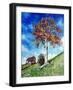 Old Survivor-Tilly Willis-Framed Giclee Print