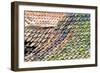 Old Tiled Roof-Dr. Keith Wheeler-Framed Photographic Print