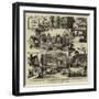 Old Timbered Houses in Kent-null-Framed Giclee Print