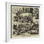 Old Timbered Houses in Kent-null-Framed Giclee Print