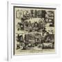 Old Timbered Houses in Kent-null-Framed Giclee Print