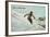 Old Time Skier, Killington-null-Framed Art Print