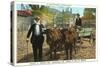 Old Timer and Ox Cart, Nashville, Indiana-null-Stretched Canvas