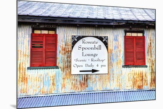 Old Tin Building with Red Shutters, Apalachicola, Florida, USA-Joanne Wells-Mounted Premium Photographic Print