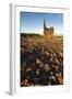 Old Tin Mine Workings, Botallack, Pendeen,Cornwall, England-Paul Harris-Framed Photographic Print