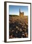 Old Tin Mine Workings, Botallack, Pendeen,Cornwall, England-Paul Harris-Framed Photographic Print