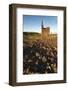 Old Tin Mine Workings, Botallack, Pendeen,Cornwall, England-Paul Harris-Framed Photographic Print