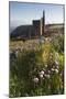 Old Tin Mine Workings, Botallack, Pendeen,Cornwall, England-Paul Harris-Mounted Photographic Print