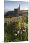 Old Tin Mine Workings, Botallack, Pendeen,Cornwall, England-Paul Harris-Mounted Photographic Print