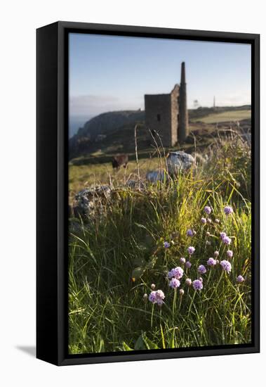 Old Tin Mine Workings, Botallack, Pendeen,Cornwall, England-Paul Harris-Framed Stretched Canvas