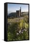 Old Tin Mine Workings, Botallack, Pendeen,Cornwall, England-Paul Harris-Framed Stretched Canvas