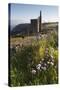 Old Tin Mine Workings, Botallack, Pendeen,Cornwall, England-Paul Harris-Stretched Canvas