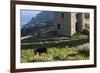 Old Tin Mine Workings, Botallack, Pendeen,Cornwall, England-Paul Harris-Framed Photographic Print