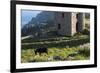 Old Tin Mine Workings, Botallack, Pendeen,Cornwall, England-Paul Harris-Framed Photographic Print