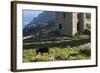 Old Tin Mine Workings, Botallack, Pendeen,Cornwall, England-Paul Harris-Framed Photographic Print