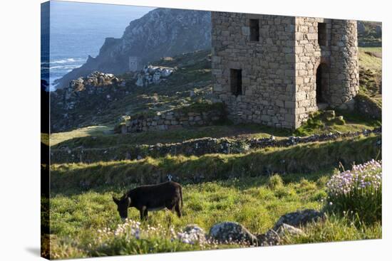 Old Tin Mine Workings, Botallack, Pendeen,Cornwall, England-Paul Harris-Stretched Canvas