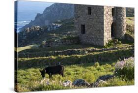 Old Tin Mine Workings, Botallack, Pendeen,Cornwall, England-Paul Harris-Stretched Canvas